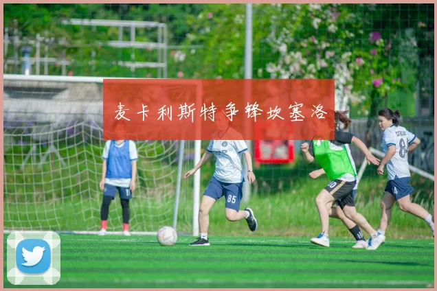 麦卡利斯特争锋坎塞洛