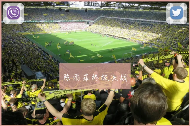 陈雨菲终极决战