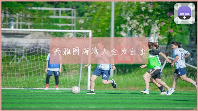 西雅图海湾人全力出击