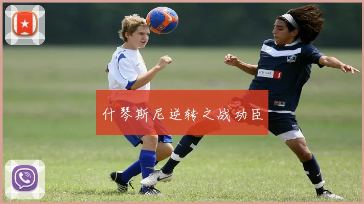 什琴斯尼逆转之战功臣