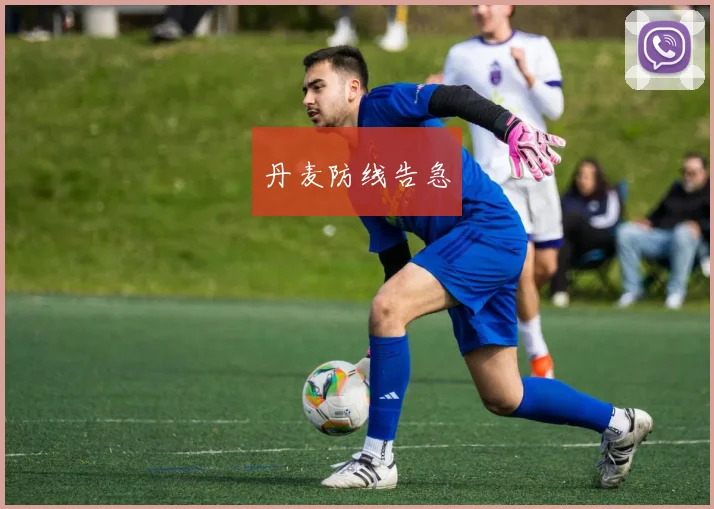 丹麦防线告急