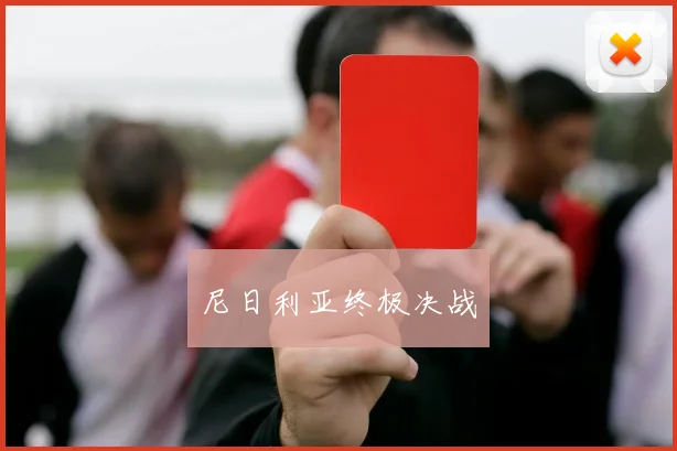 尼日利亚终极决战