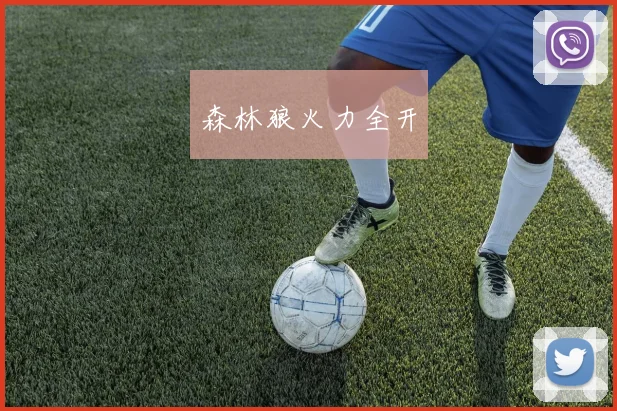 森林狼火力全开