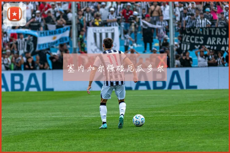 塞内加尔强碰厄瓜多尔