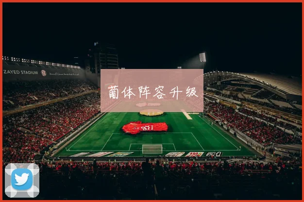 葡体阵容升级