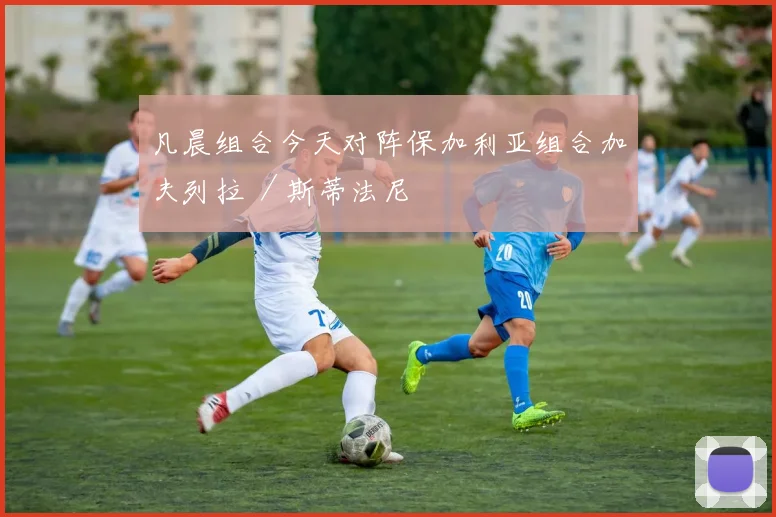 凡晨组合今天对阵保加利亚组合加夫列拉 ／斯蒂法尼