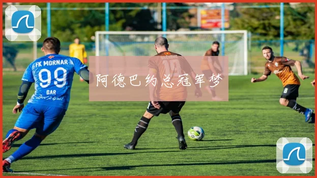 阿德巴约总冠军梦