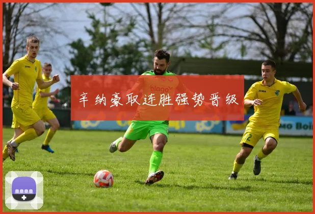 辛纳豪取连胜强势晋级