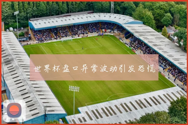 世界杯盘口异常波动引发恐慌