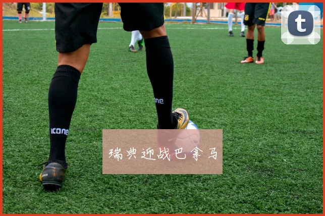 瑞典迎战巴拿马