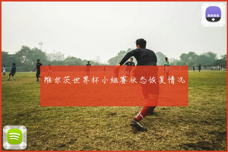 维尔茨世界杯小组赛状态恢复情况