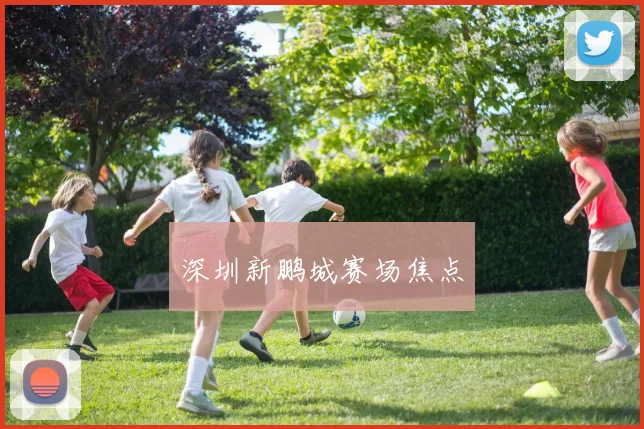 深圳新鹏城赛场焦点