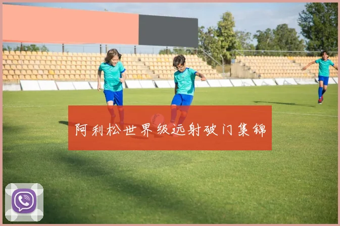 阿利松世界级远射破门集锦