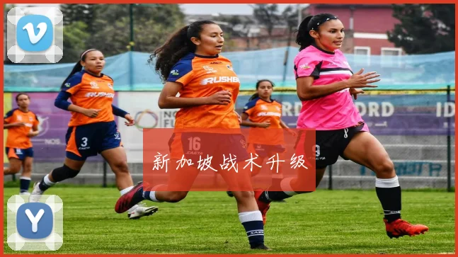 新加坡战术升级