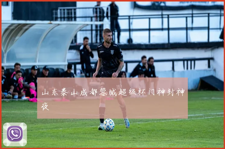 山东泰山成都蓉城超级杯门神封神夜
