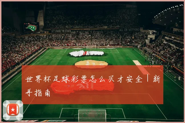 世界杯足球彩票怎么买才安全｜新手指南