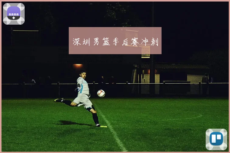 深圳男篮季后赛冲刺