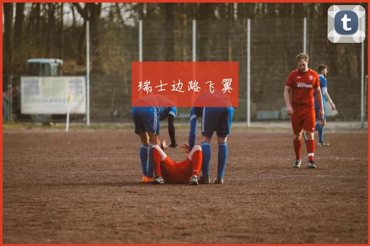 瑞士边路飞翼