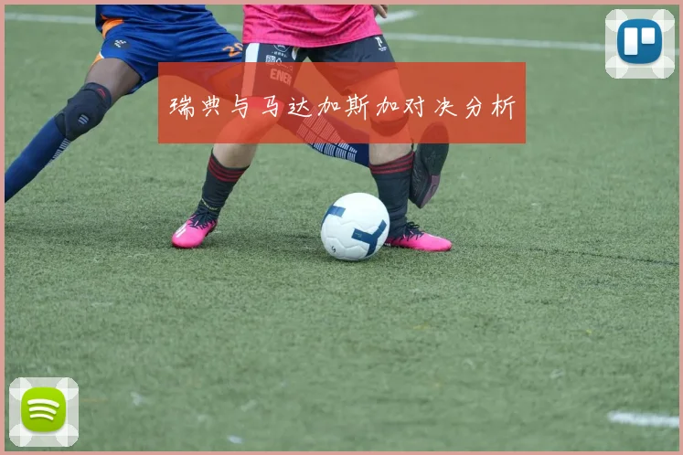 瑞典与马达加斯加对决分析
