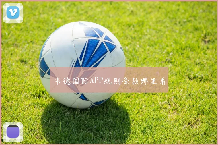 韦德国际APP规则条款哪里看