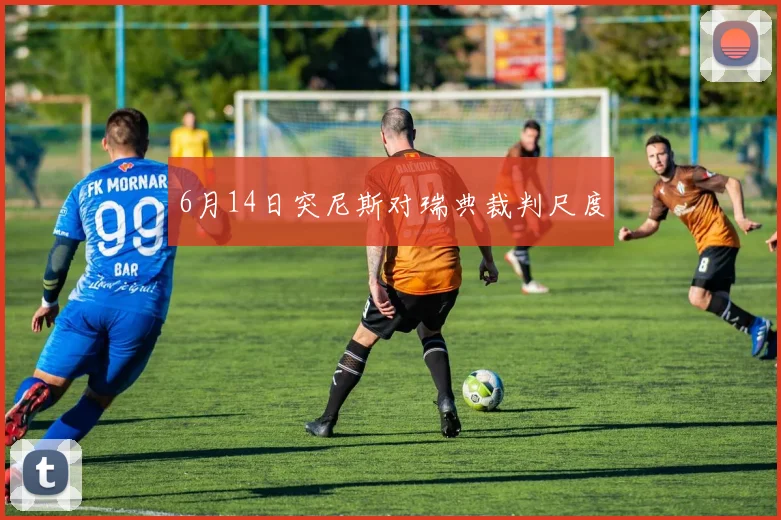 6月14日突尼斯对瑞典裁判尺度