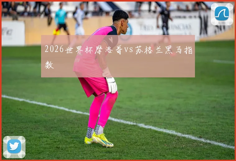 2026世界杯摩洛哥vs苏格兰黑马指数