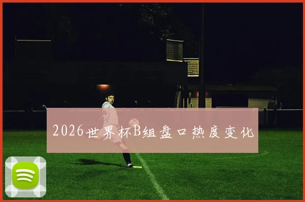 2026世界杯B组盘口热度变化
