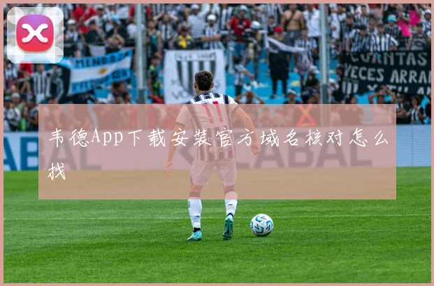 韦德App下载安装官方域名核对怎么找