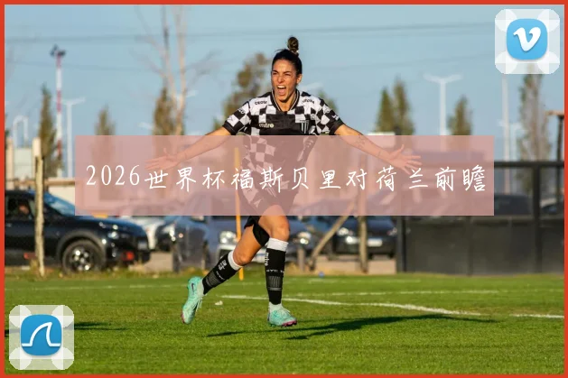 2026世界杯福斯贝里对荷兰前瞻