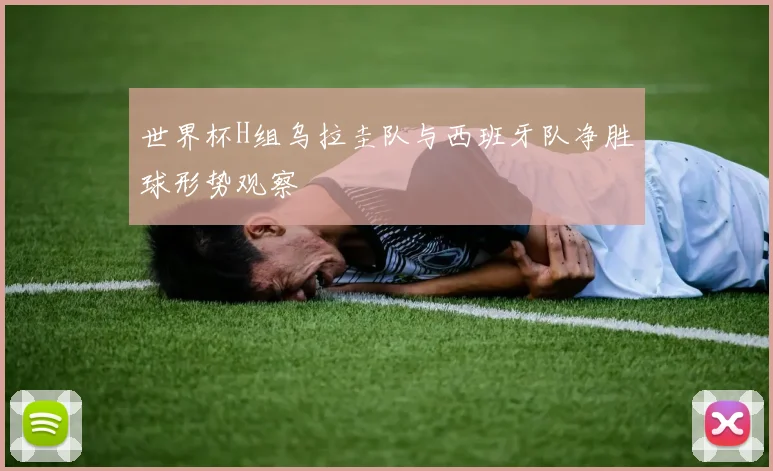 世界杯H组乌拉圭队与西班牙队净胜球形势观察